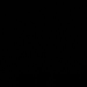 Meet your Posher, Rosy